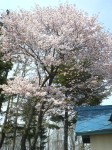 201105201025000.jpg