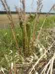 201105201408000.jpg