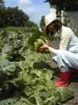 201107221255000.jpg