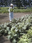 201107221256000.jpg