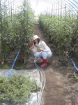 201107221315000.jpg