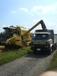 201107291303001.jpg