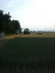 201107291622000.jpg