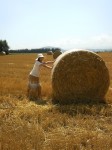 201108031152000.jpg