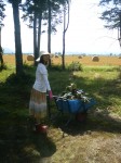201108031215000.jpg