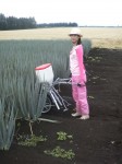 201108191215000.jpg
