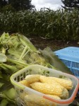 201108261141000.jpg