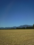201108270823000.jpg