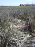 201109081053000.jpg