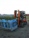 201109261643001.jpg