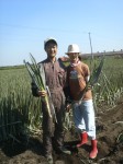 201109271128000.jpg