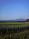 201110080655000.jpg