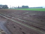IMG_20120509_105908.jpg