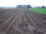 IMG_20120509_110002.jpg