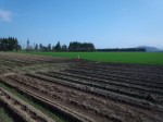 IMG_20120520_143706.jpg
