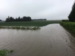 IMG_1707.JPG